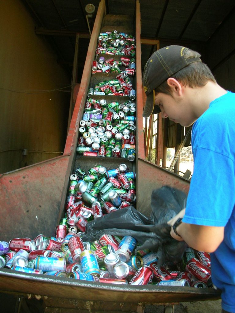 Commercial Waste Removals