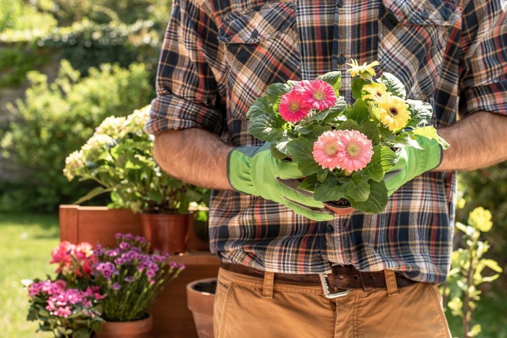 Maintain your garden