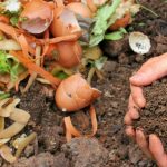 How Does Composting Help the Environment