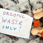 How to Manage Organic Waste