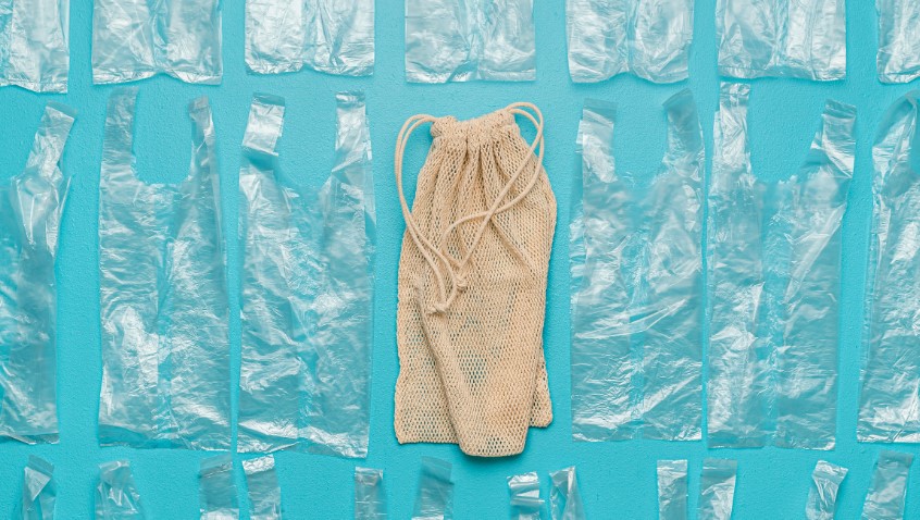 The Best Alternatives to Plastic bags