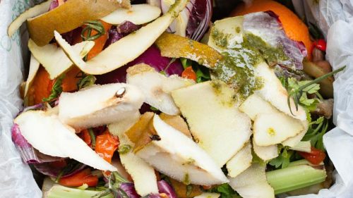 Compost Your Food Waste
