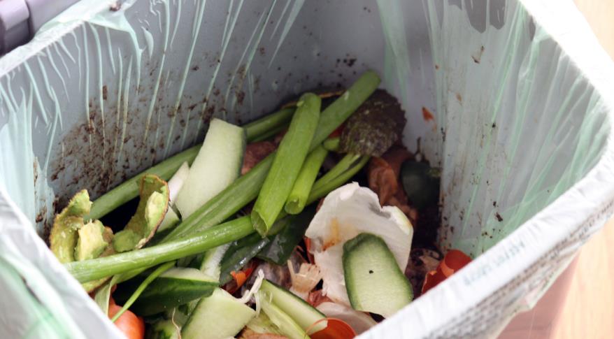 Benefits of Recycling Food Waste in Business