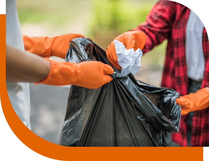 Building Waste Removal