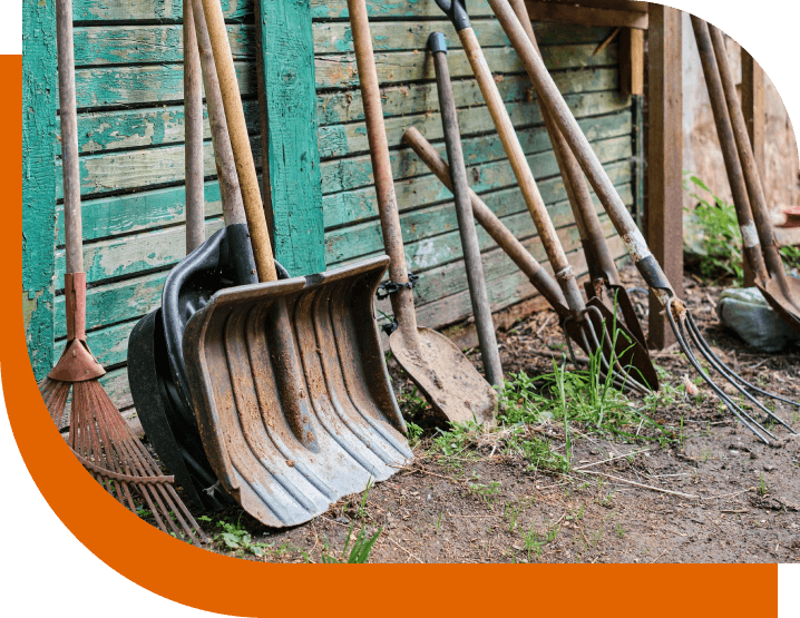 Cheap garden clearance London Cheap garden clearance London