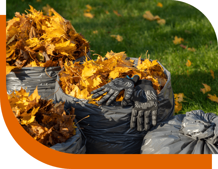 Garden Waste Clearance London Price Garden Waste Clearance London Price