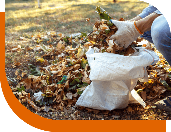 Garden clearance London Garden clearance London
