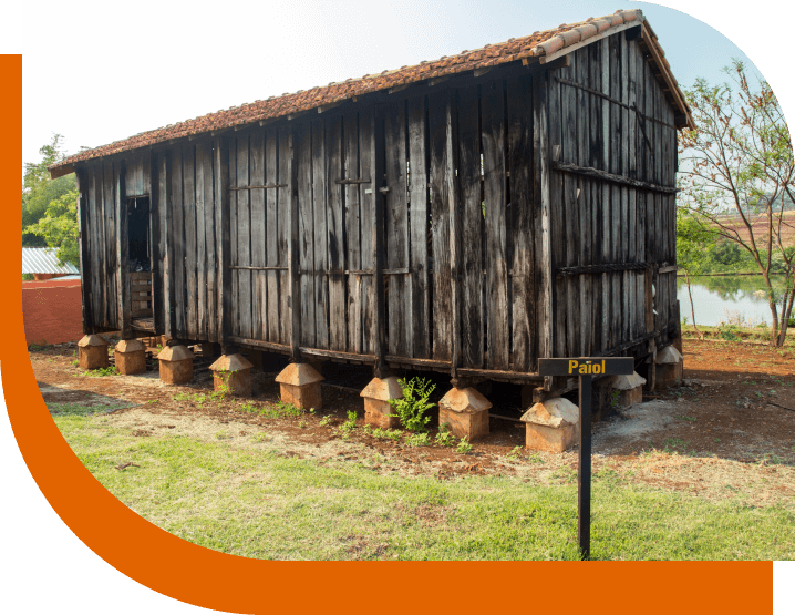 shed clearance London